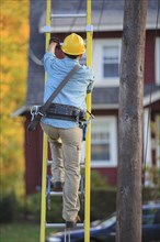 Caucasian worker climbing ladder at tree
