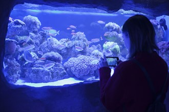 Caucasian woman photographing fish in aquarium