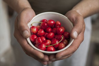 Hands of woman holding a bowl of cherries