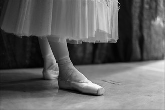Legs of woman wearing ballet shoes
