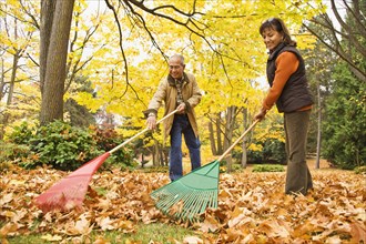 Hispanic couple raking autumn leaves