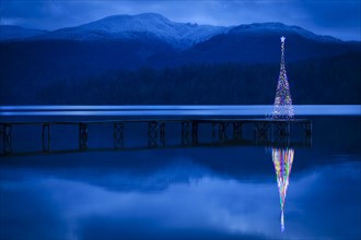Christmas tree reflecting in lake