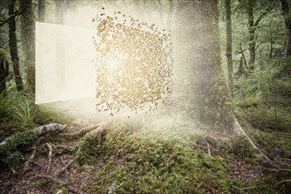 Digital cube exploding in forest