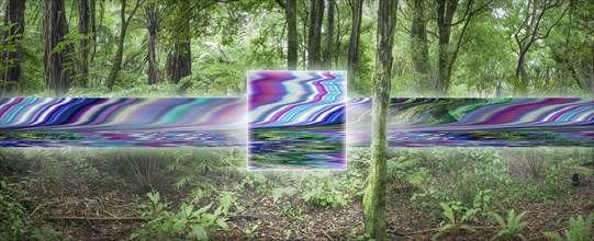 Distorted digital stream in remote forest