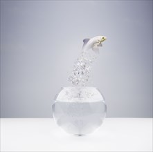 Fish jumping out of fishbowl