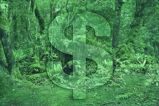 Dollar sign on green forest