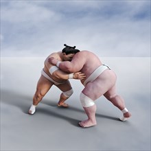 Sumo wrestlers wresting