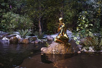 Pensive woman robot sitting on rock at river