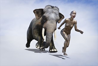 Elephant chasing robot woman