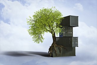 Tree growing roots on stack of cargo containers