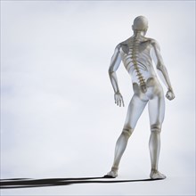 Skeleton inside transparent man