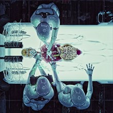 Robots operating on organs of transparent android