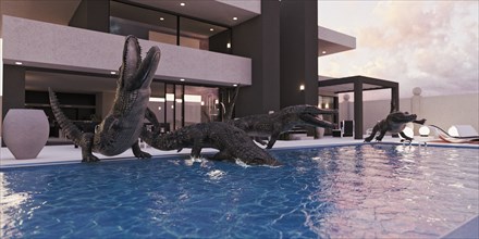 Crocodiles in luxury swimming pool