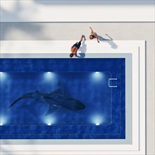 Couple watching shark in swimming pool