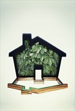 House shape filled with plants