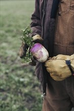 Caucasian farmer holding fresh beet