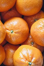 Close up of pile of oranges