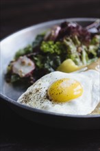 Close up of plate of fried egg and salad