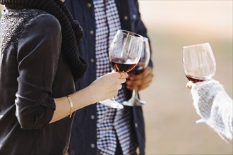 Close up of friends drinking wine