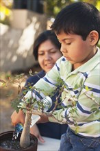 Hispanic mother and son gardening together