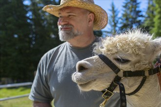 Caucasian farmer standing with alpaca on farm