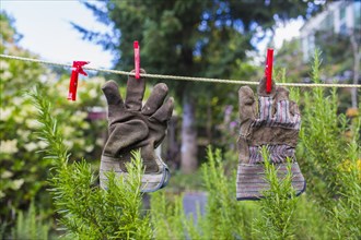 Gardening gloves drying on clothesline in backyard