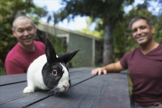 Mixed race men with rabbit on picnic table