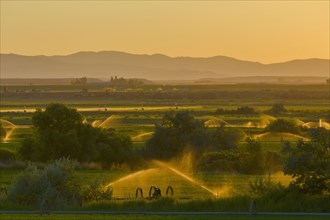 Sprinklers watering rural farmland