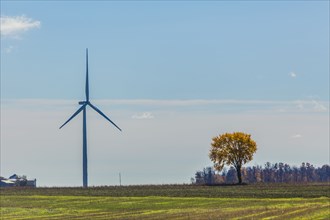 Wind turbine in rural field