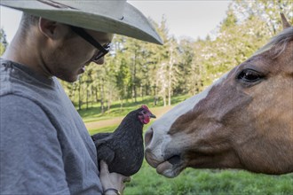 Caucasian farmer holding chicken face to face with horse