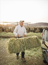 Caucasian farmer carrying hay bale