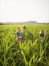 Children playing in corn field