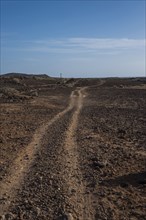 Distant winding tracks in dirt field