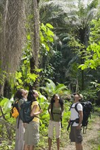 Friends in backpacks exploring jungle