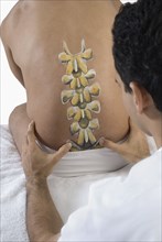 Chiropractor adjusting man's back