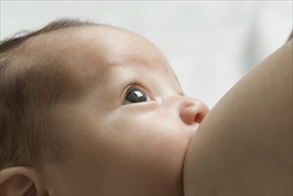 Close up of Hispanic baby breast feeding