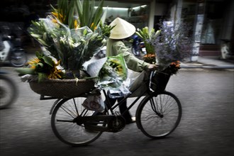 Vietnamese person carrying flowers on bicycle