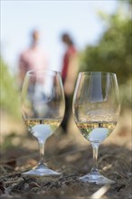 Close up of two glasses of white wine