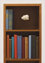 Cloud floating in bookshelf