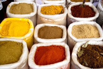 Variety of colorful Indian spices in sacks