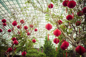 Lanterns hanging from trees in greenhouse