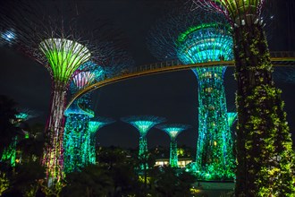 Electric supertrees lit up at night