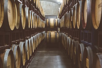 Wine barrels aging