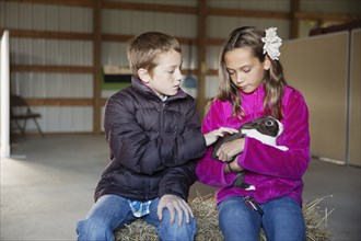Caucasian children petting rabbit in barn
