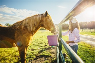 Caucasian girl feeding horse on ranch