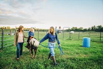 Three generations of Caucasian women walking miniature horse on farm