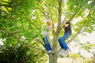 Low angle view of Caucasian boys climbing tree