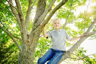 Low angle view of Caucasian boy climbing tree