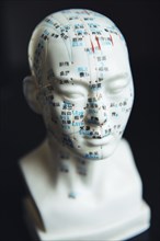 Close up of carved bust with acupuncture diagram