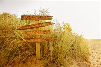Tourist signs for beach in grass